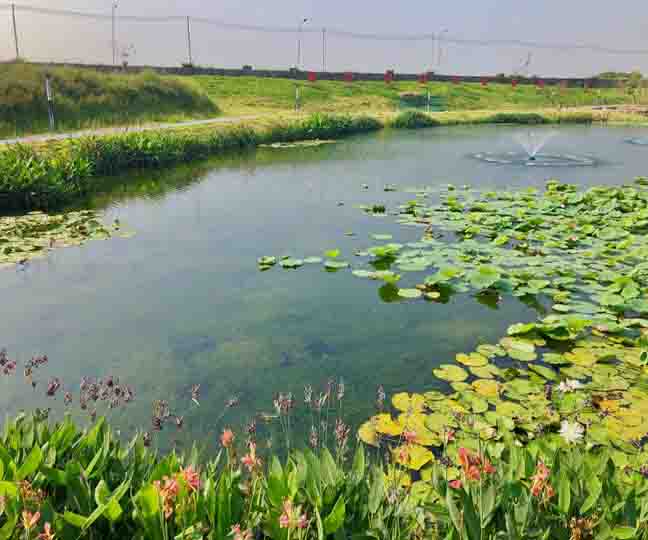 東莞市寮步鎮(zhèn)西南河等河涌補水服務項目